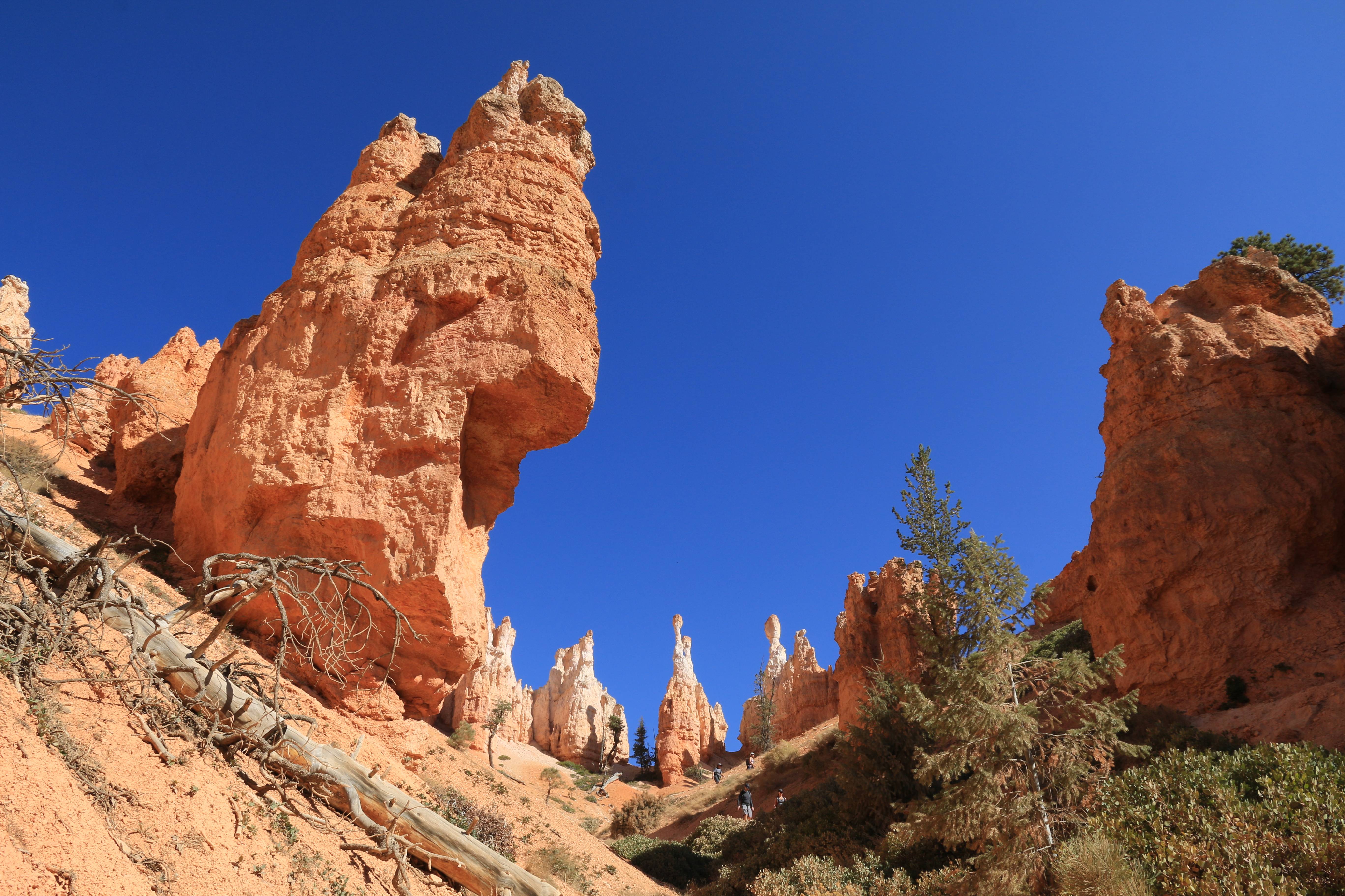 Bryce Canyon NP
